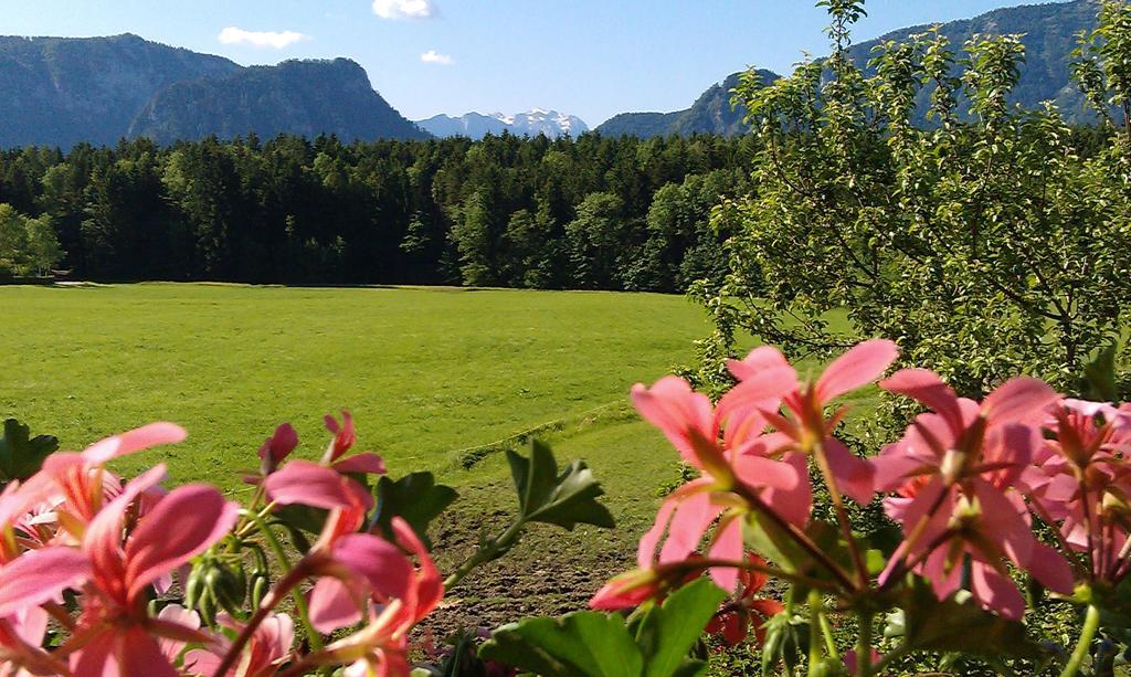 Gaestehaus Restner - Chiemgau Karte Inzell Bagian luar foto